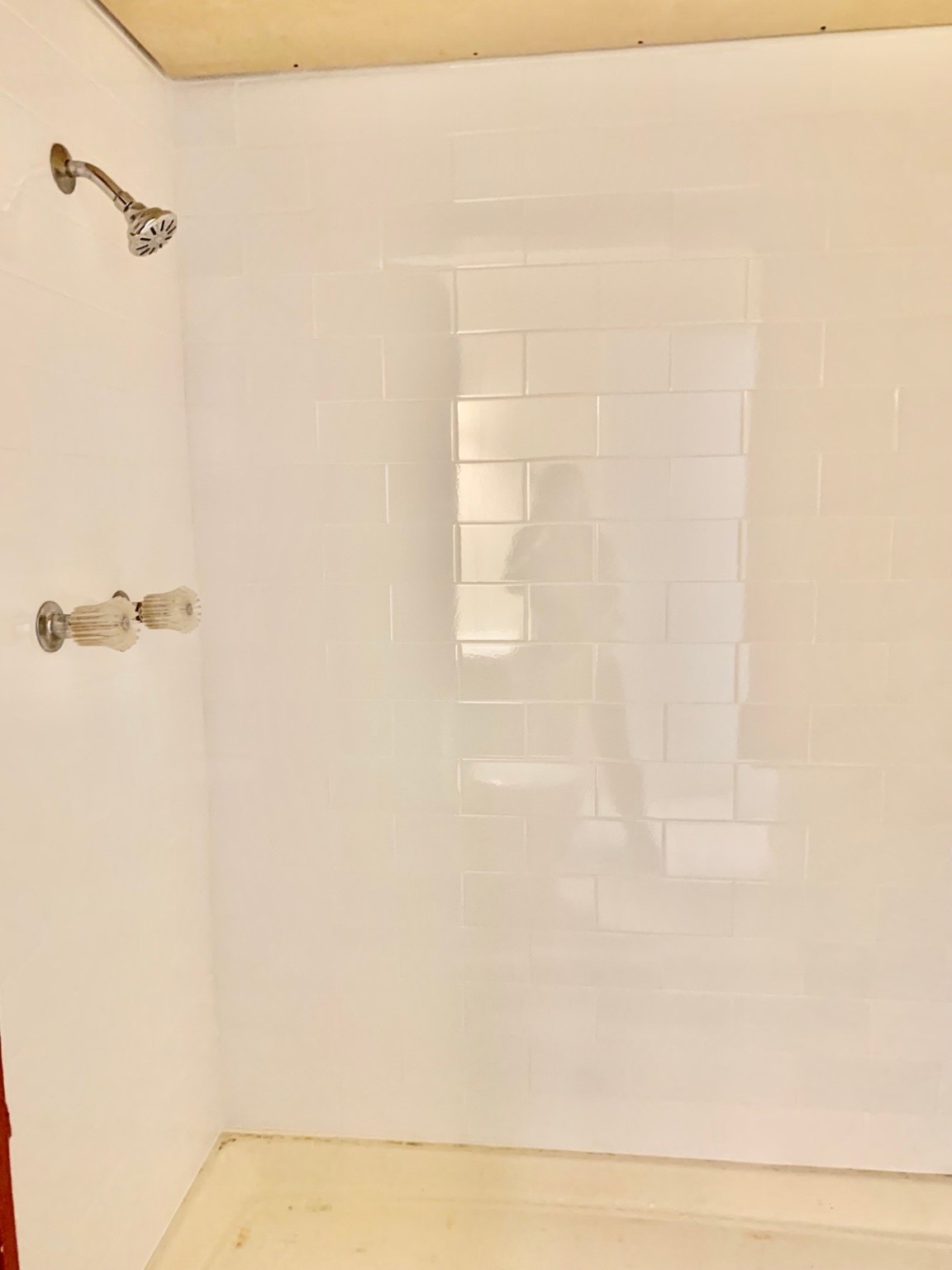 16118 Lazy Ridge Road Houston, TX 77053 - Photo 15 of 23 a bathroom with a shower