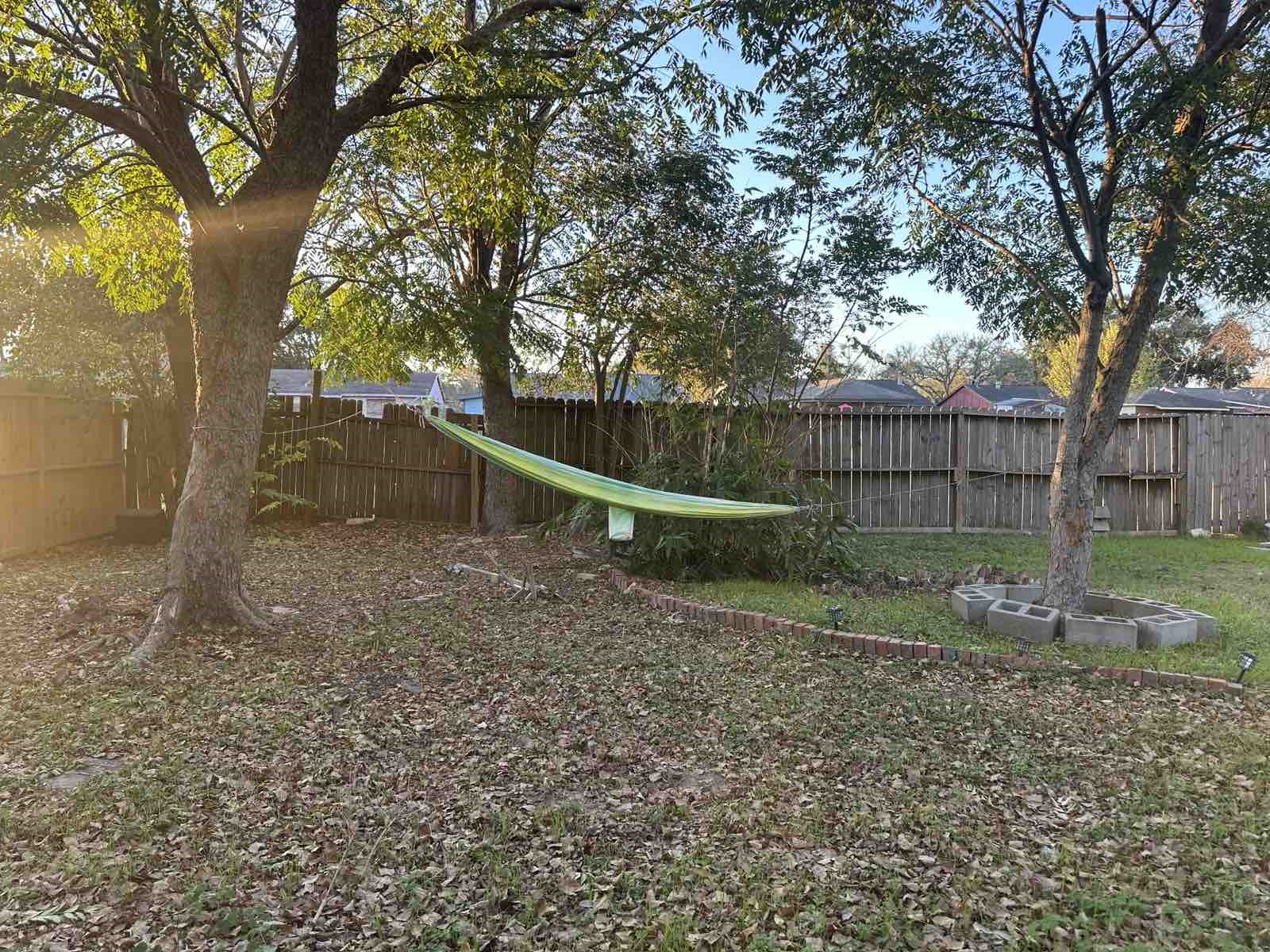 16118 Lazy Ridge Road Houston, TX 77053 - Photo 2 of 24 a backyard of a house with lots of green space