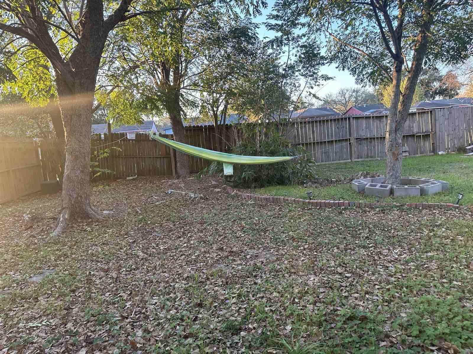 16118 Lazy Ridge Road Houston, TX 77053 - Photo 24 of 24 a backyard of a house with lots of green space