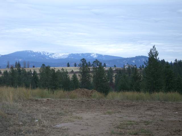 17052 North Sands Road Green Bluff, WA 99021 - Photo 1 of 4