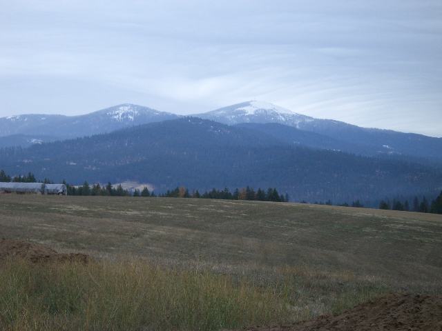 17052 North Sands Road Green Bluff, WA 99021 - Photo 4 of 4