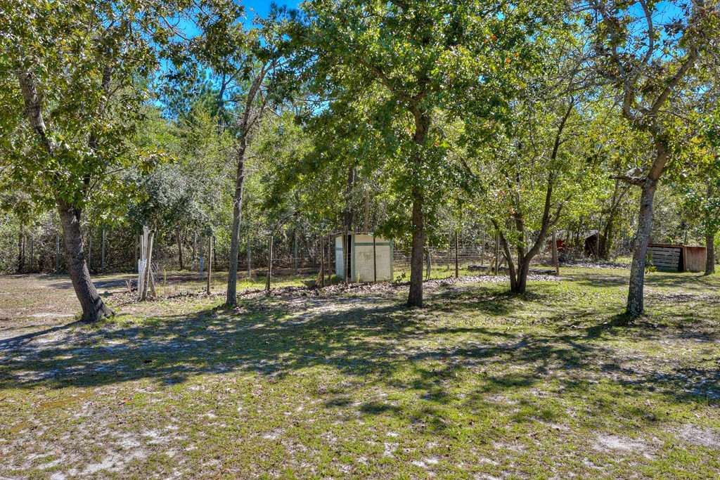 325 Nickeltop Road Windsor, SC 29856 - Photo 30 of 39