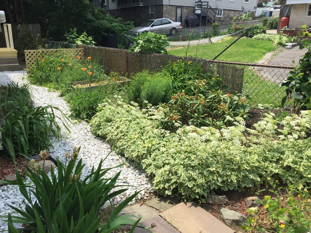 12 Eugenia Road Boston, MA 02131 - Photo 27 of 30 Gallery Image 27