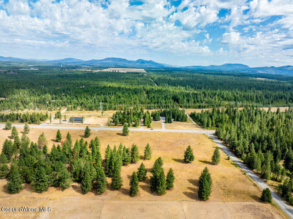 Nka Bunco Road Athol, ID 83801 - Photo 11 of 26 bb193348-11_107