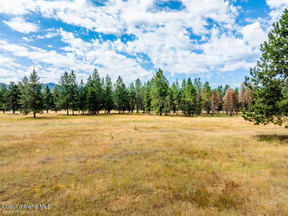 Nka Bunco Road Athol, ID 83801 - Photo 18 of 26 bb193348-18_218