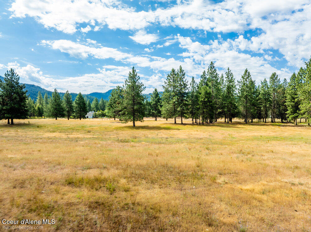 Nka Bunco Road Athol, ID 83801 - Photo 19 of 26 bb193348-19_822
