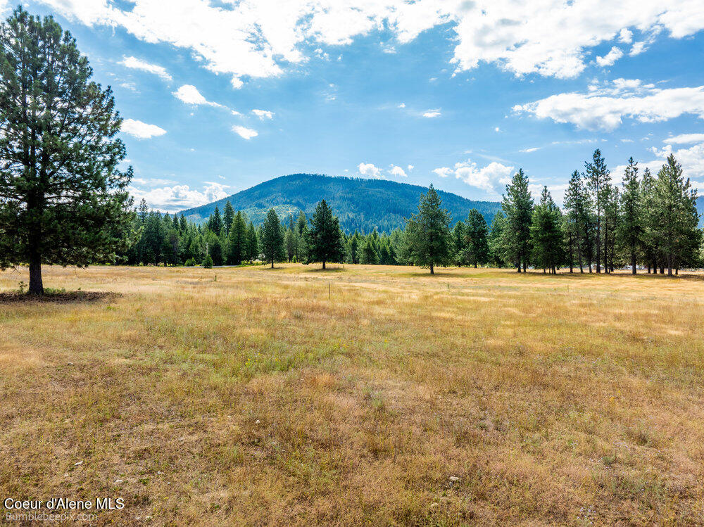 Nka Bunco Road Athol, ID 83801 - Photo 21 of 26 bb193348-21_148