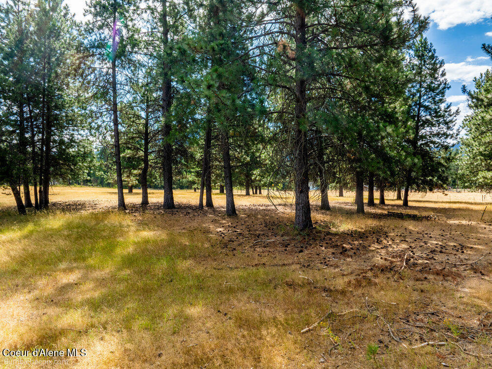 Nka Bunco Road Athol, ID 83801 - Photo 22 of 26 bb193348-22_730