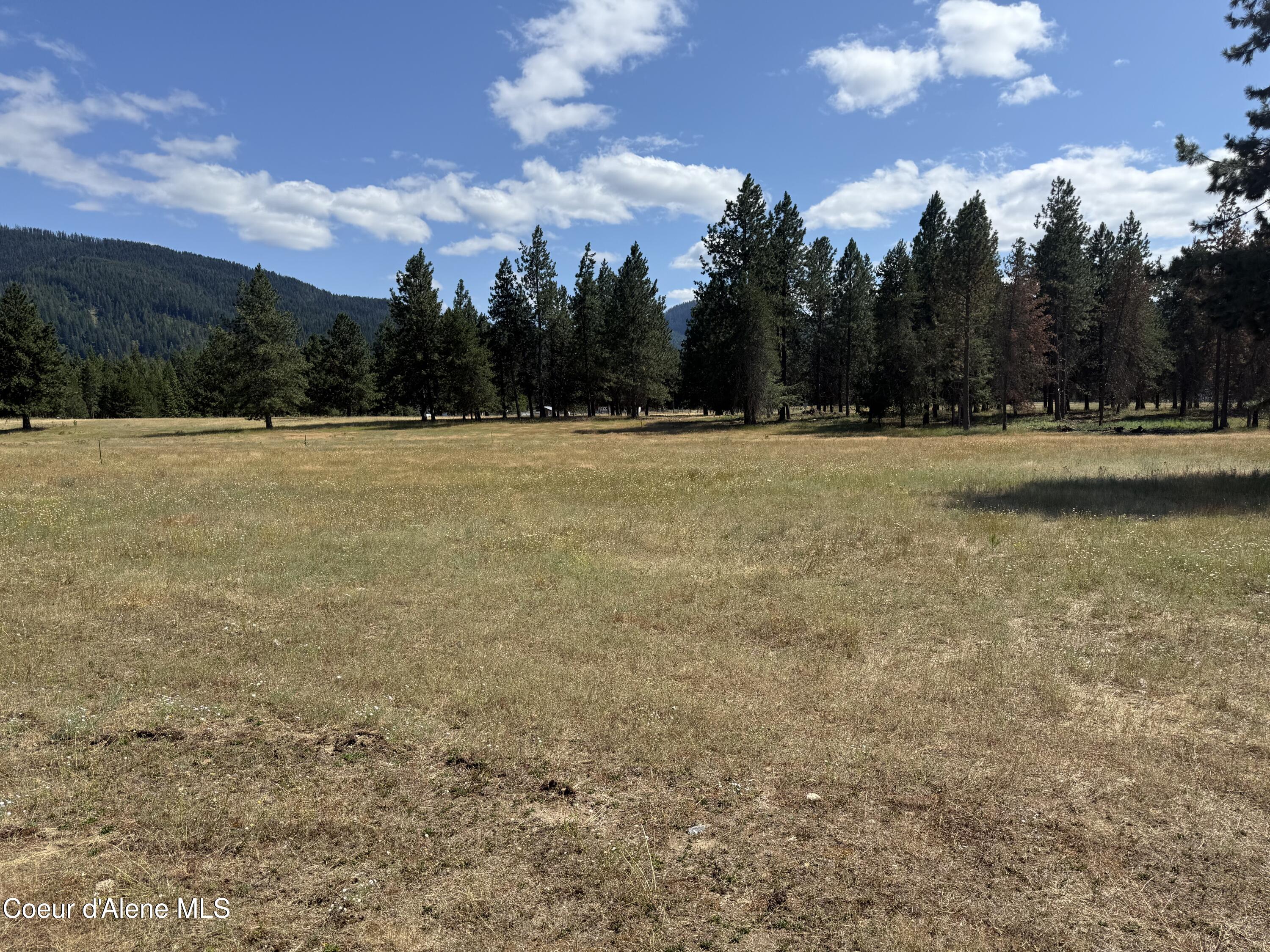 Nka Bunco Road Athol, ID 83801 - Photo 25 of 26 IMG_0923