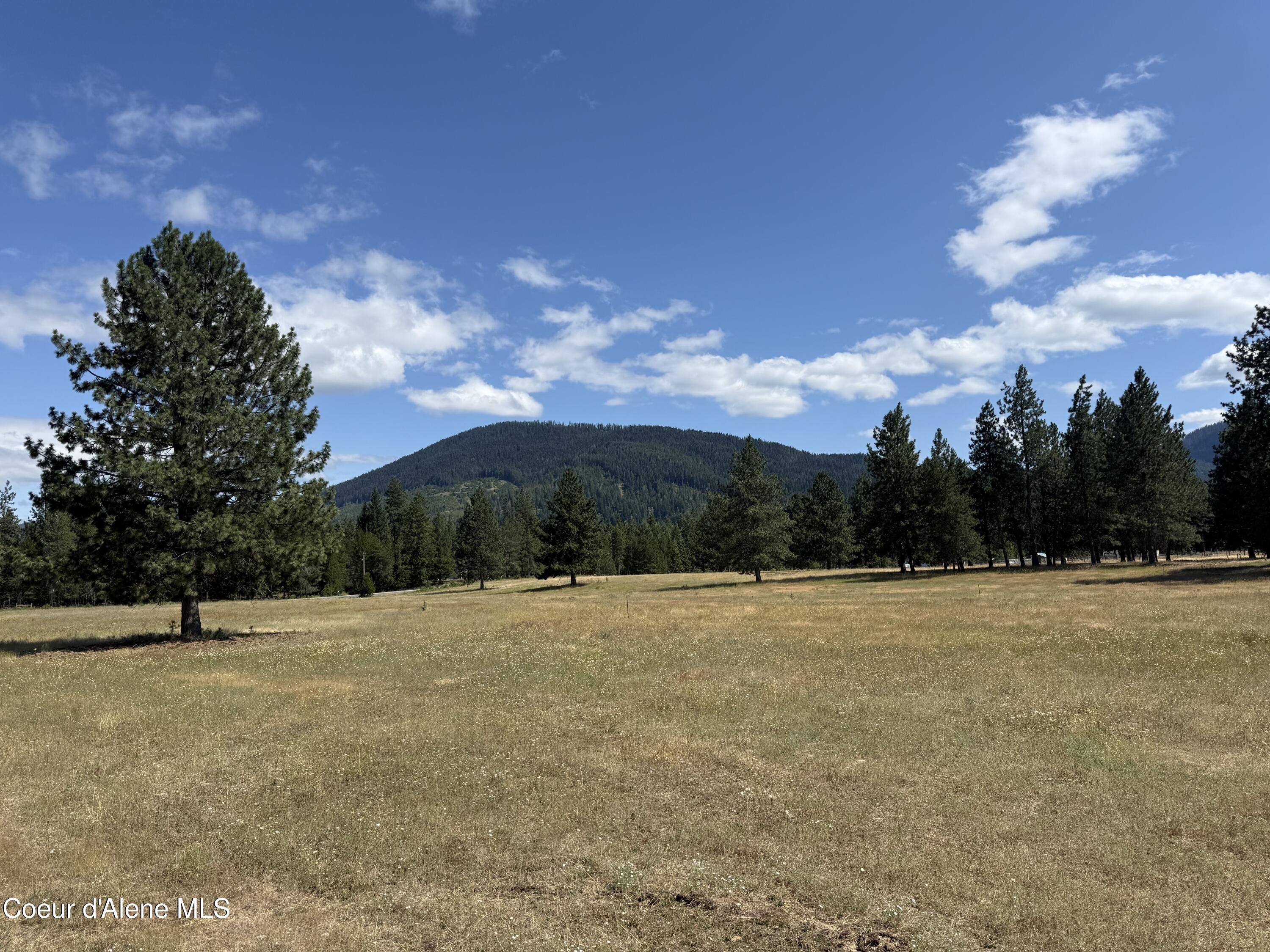 Nka Bunco Road Athol, ID 83801 - Photo 26 of 26 IMG_0919