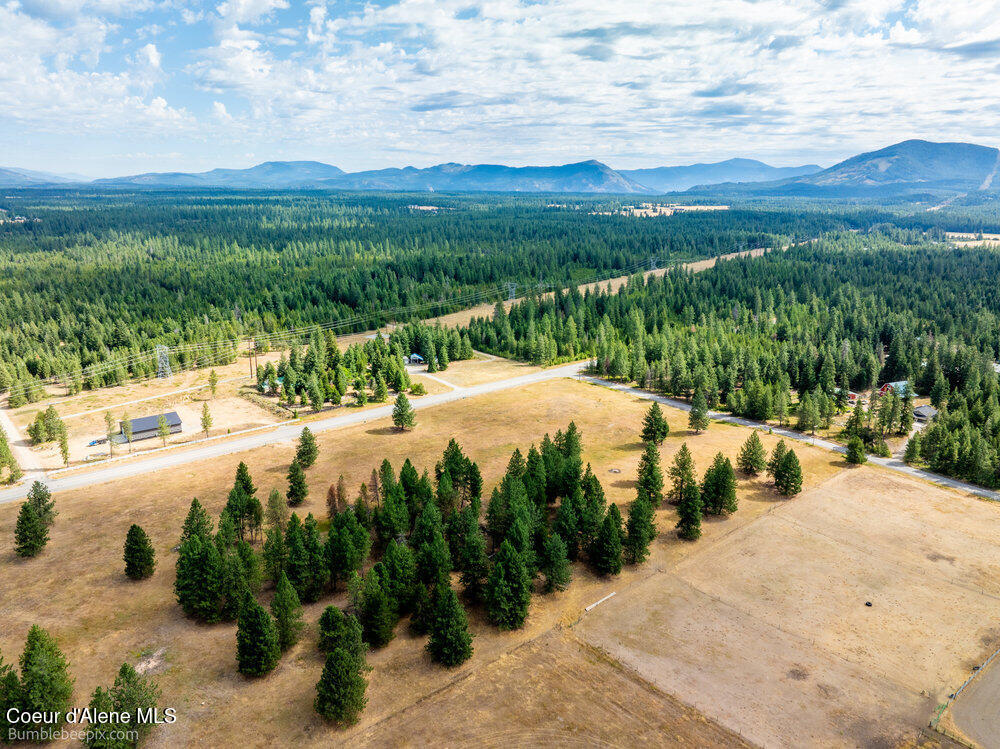 Nka Bunco Road Athol, ID 83801 - Photo 5 of 26 bb193348-5_790