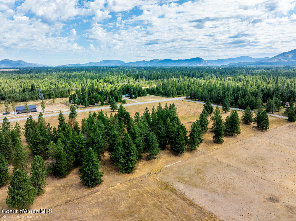 Nka Bunco Road Athol, ID 83801 - Photo 6 of 26 bb193348-6_421