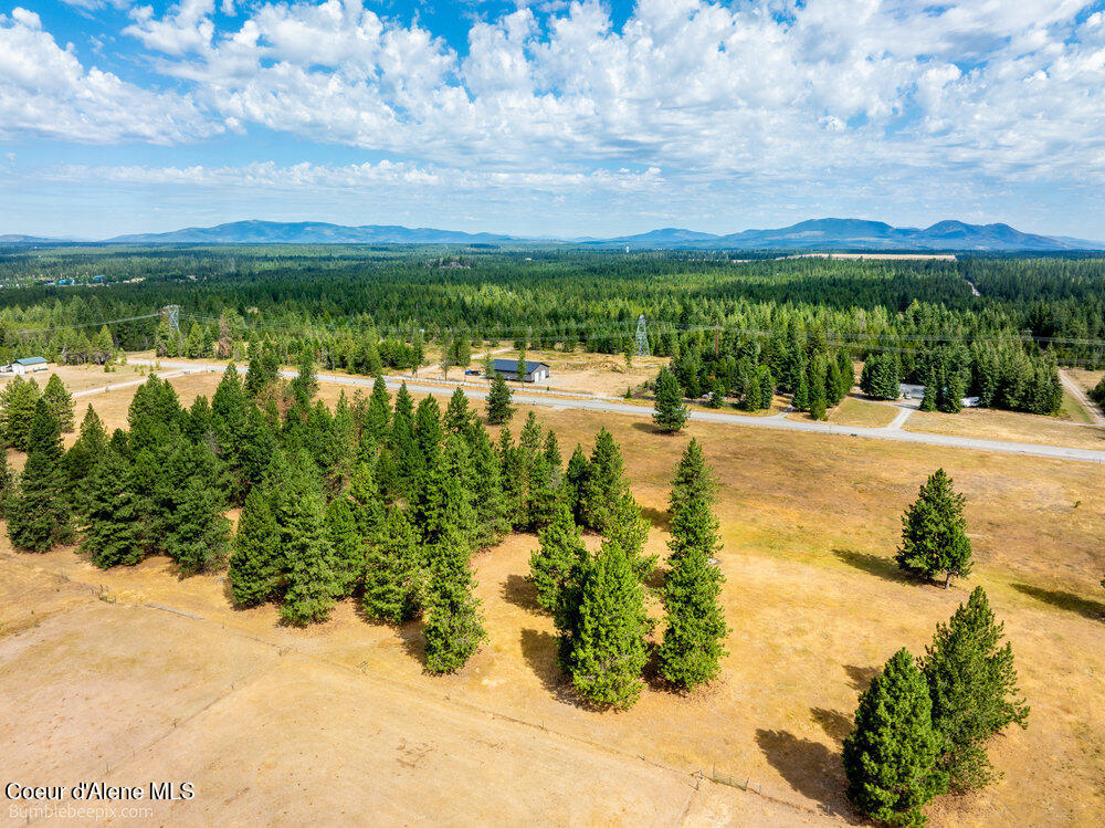 Nka Bunco Road Athol, ID 83801 - Photo 9 of 26 bb193348-9_497