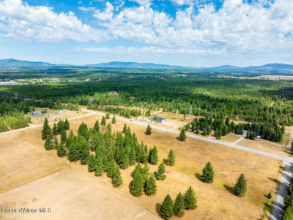 Nka Bunco Road Athol, ID 83801 - Photo 10 of 26 bb193348-10_784