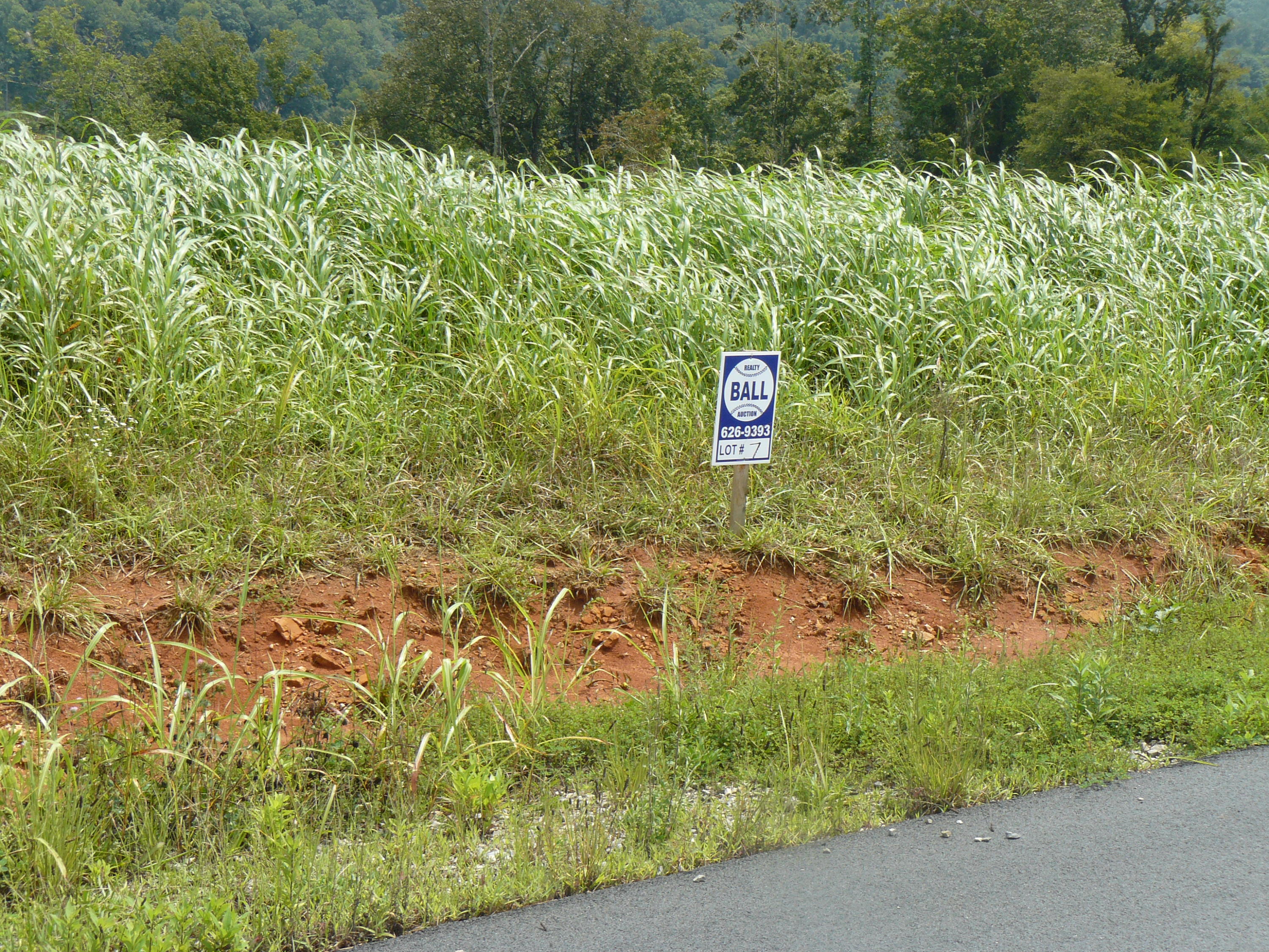 P1360967