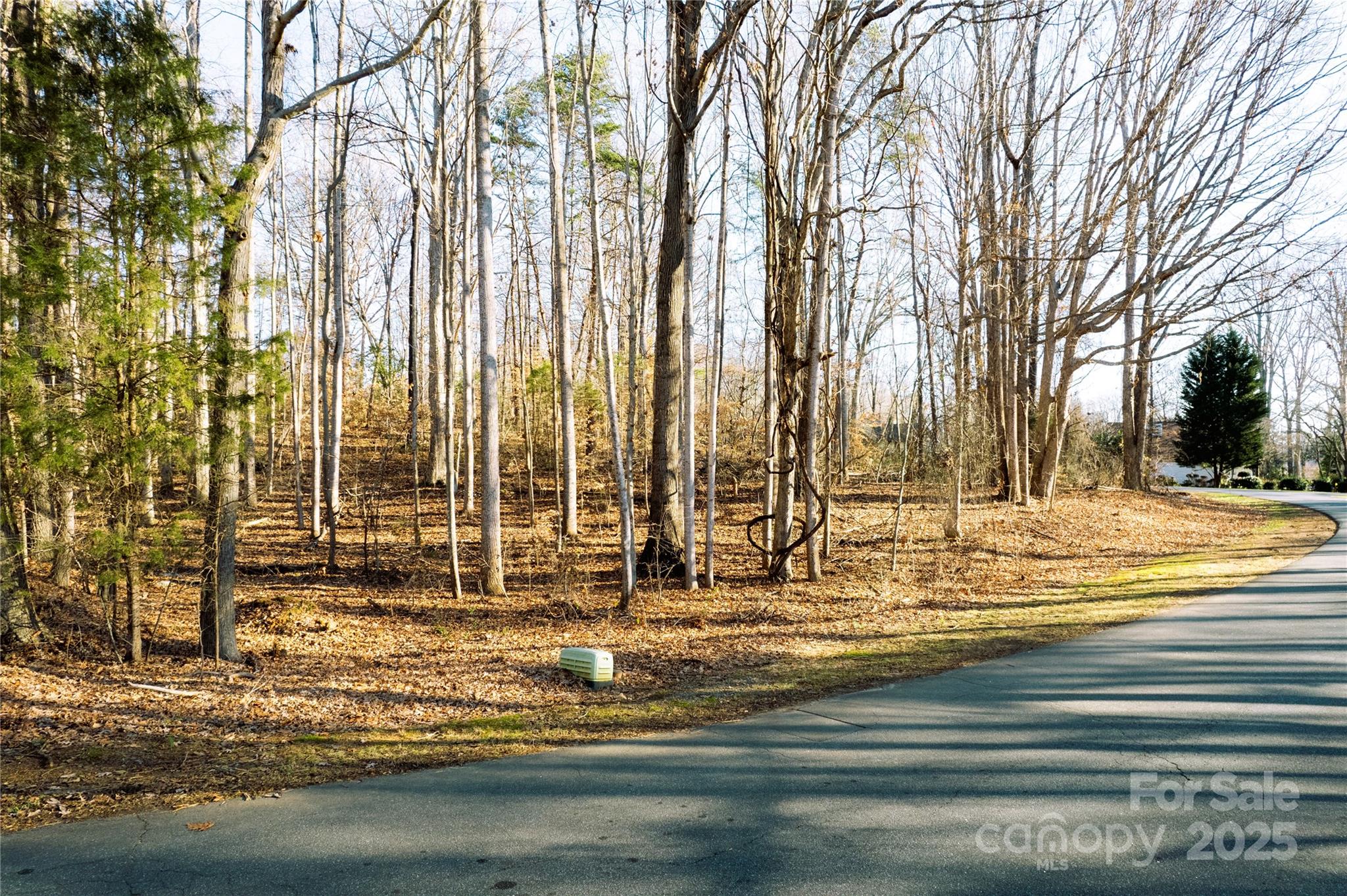 3871 Mill Run Terrell, NC 28682 - Photo 4 of 7