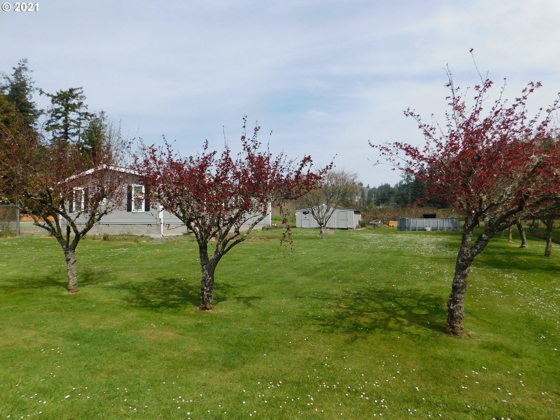 1930 East Cedar Street Myrtle Point, OR 97458 - Photo 2 of 22 Gallery Image 2