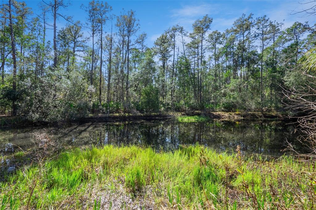 3441 Hickory Creek Road Deltona, FL 32738 - Photo 50 of 62 a view of a lake view with houses in background