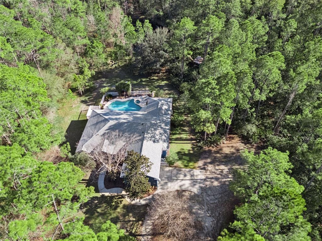 3441 Hickory Creek Road Deltona, FL 32738 - Photo 5 of 62 a view of a garden with plants