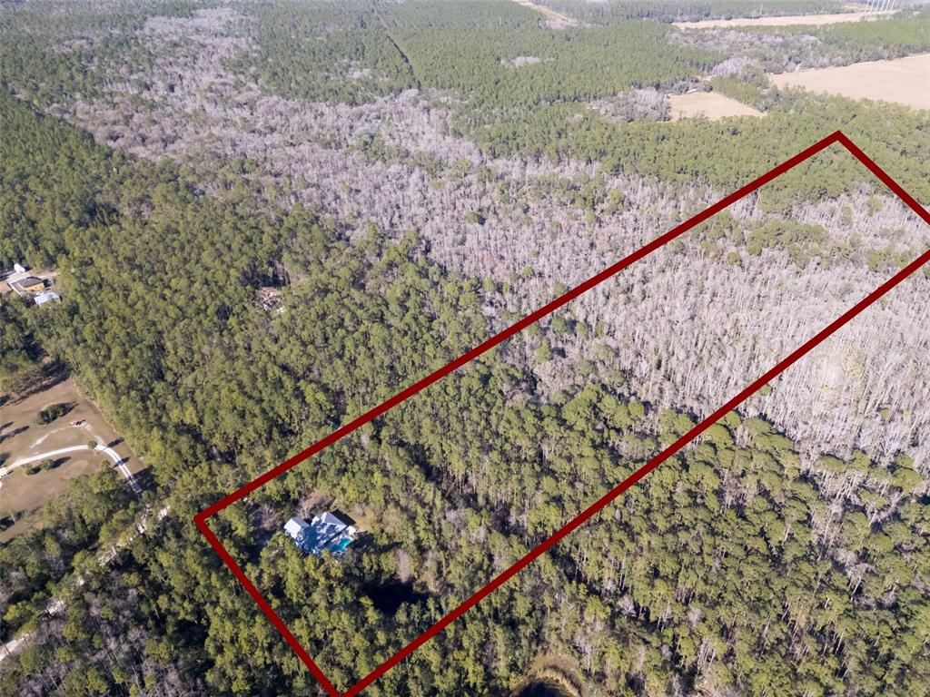 3441 Hickory Creek Road Deltona, FL 32738 - Photo 57 of 62 a view of swimming pool with wooden stairs