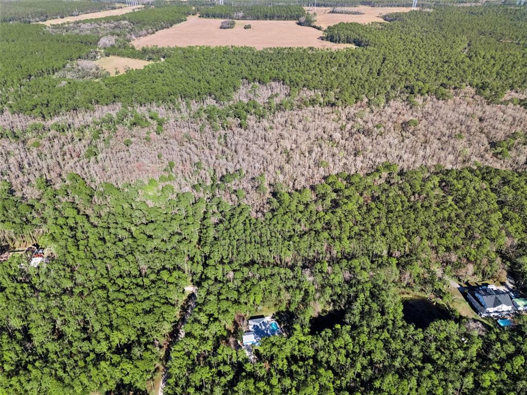 3441 Hickory Creek Road Deltona, FL 32738 - Photo 58 of 62