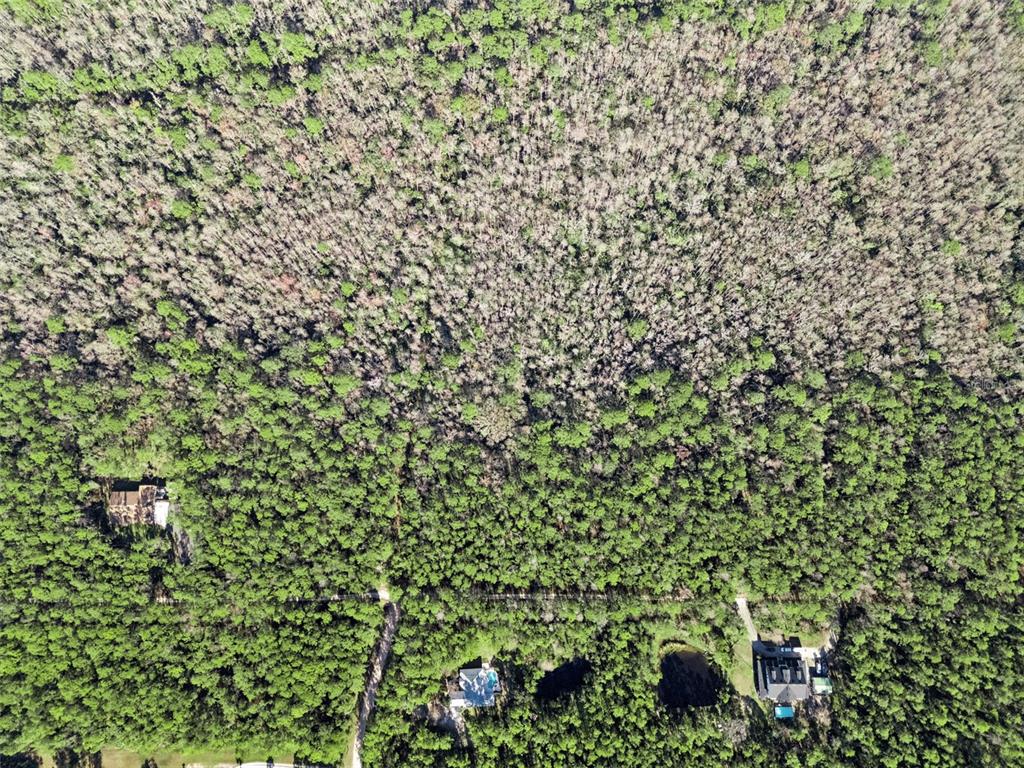 3441 Hickory Creek Road Deltona, FL 32738 - Photo 59 of 62