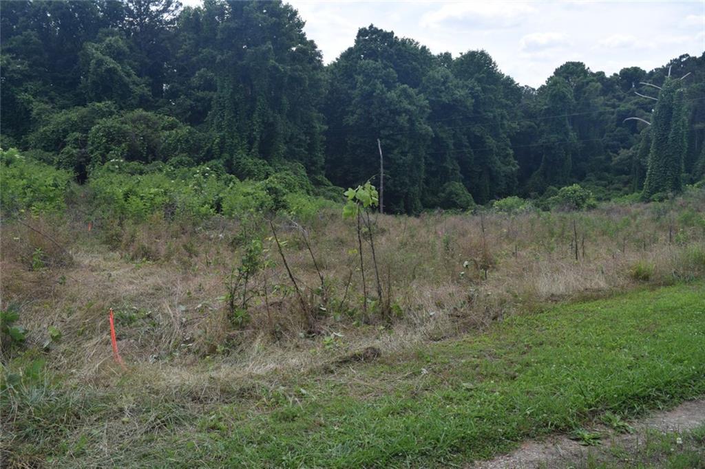 792 Lower Dowda Mill Road Jasper, GA 30143 - Photo 20 of 35