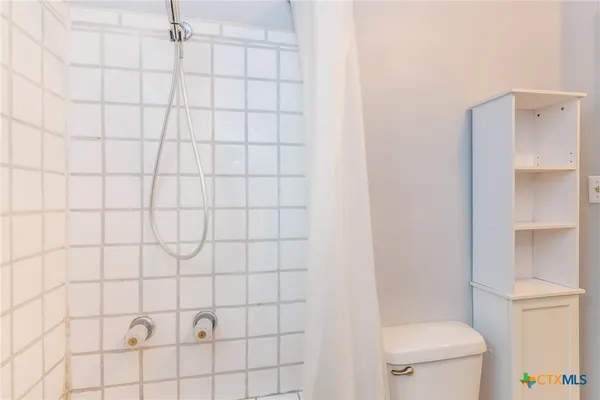 a white toilet sitting next to a shower curtain