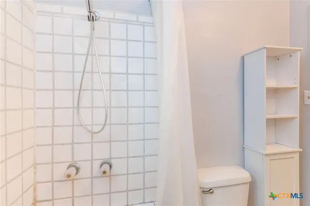 a white toilet sitting next to a shower curtain