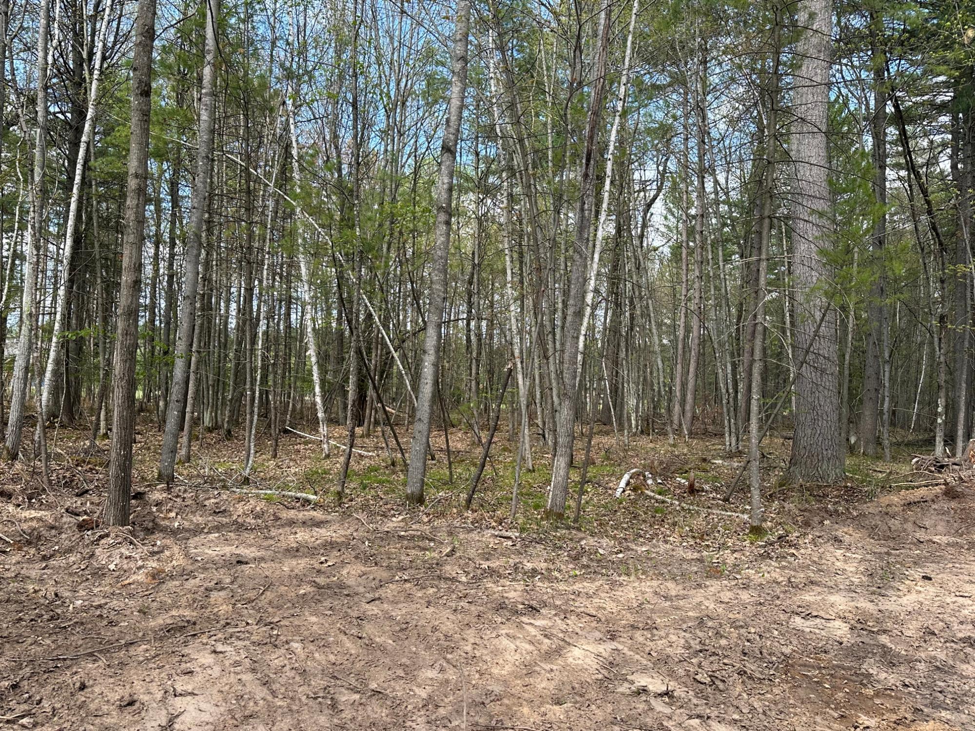 Lot 3 Pine Breeze Way Rhinelander, WI 54501 - Photo 8 of 14 Gallery Image 8