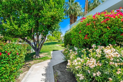 a view of a garden with a flower garden