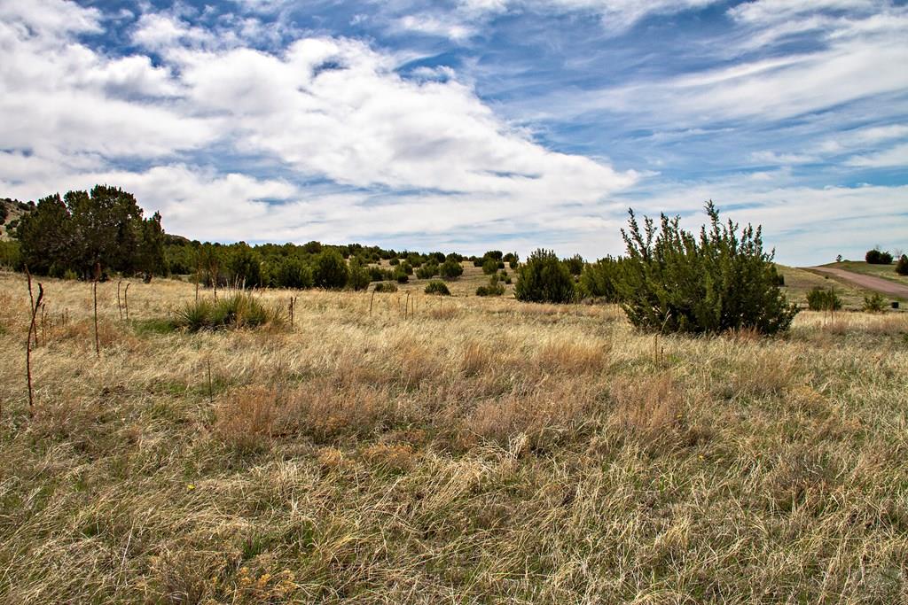 Tbd Garrett Road Beulah, CO 81023 - Photo 30 of 42 Gallery Image 30