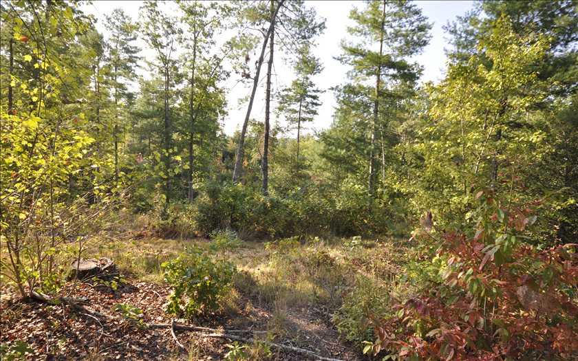 Mariet Way Murphy, NC 28906 - Photo 1 of 1 Main View