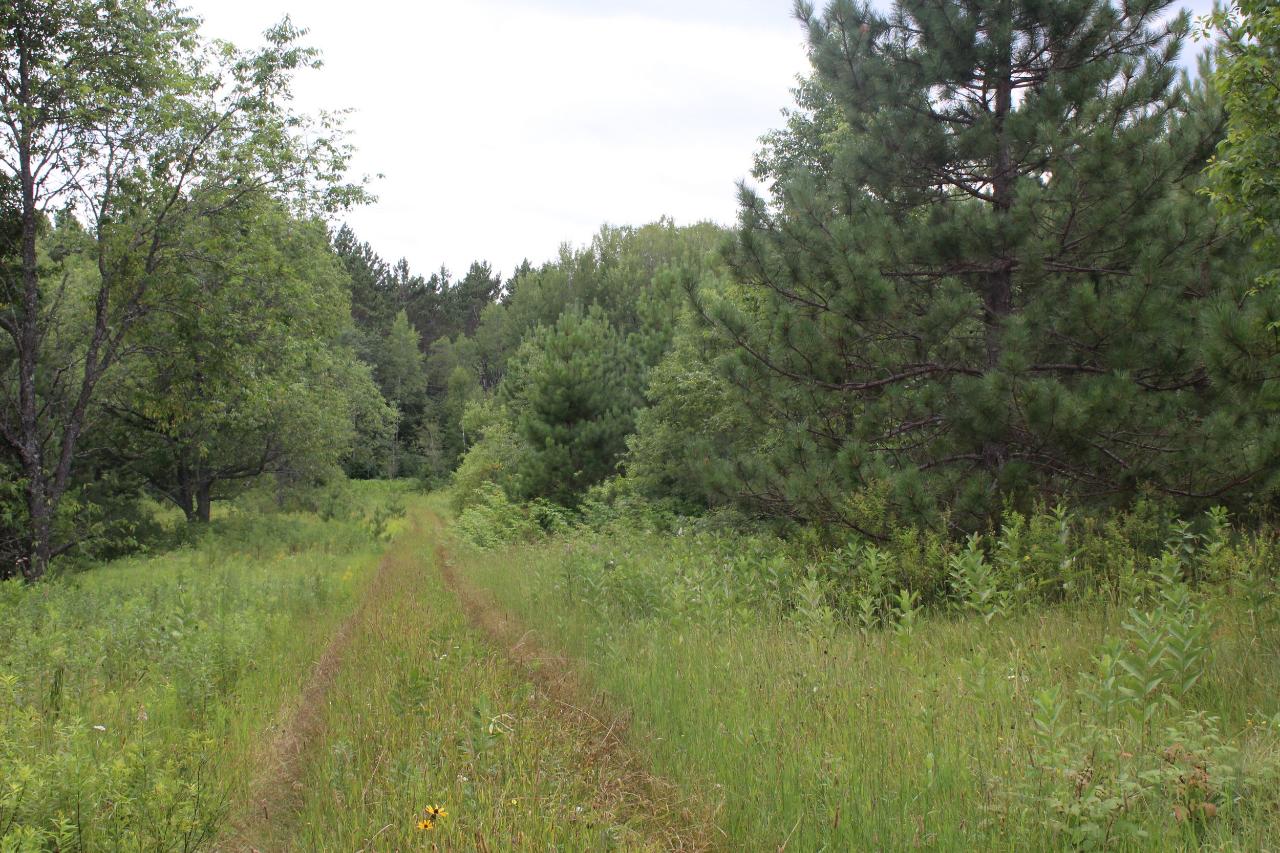 3929 Settlement Road Long Lake, WI 54542 - Photo 2 of 5 Gallery Image 2