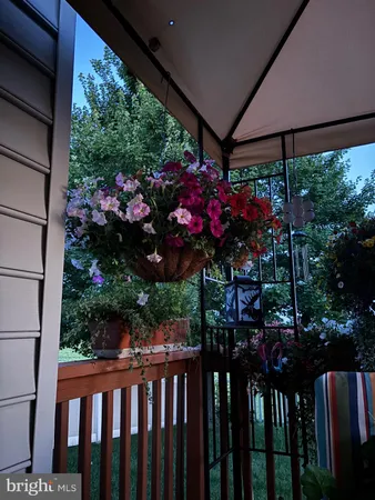 a picture of flowers