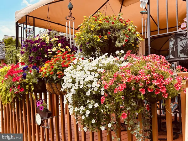a view of a tree in front of a building