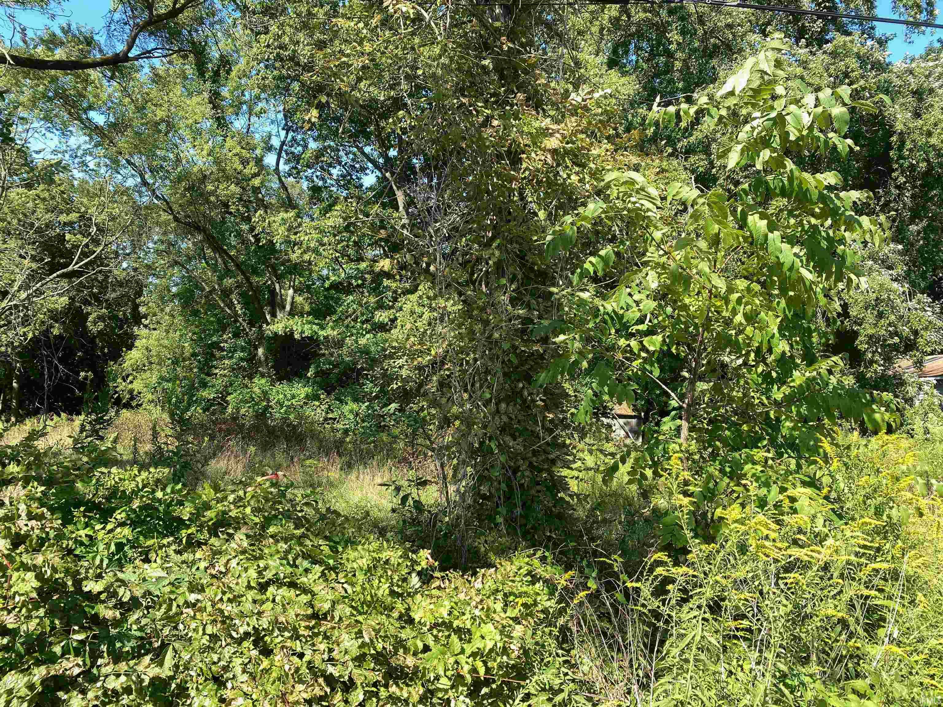 52625-52637 Emmons Road South Bend, IN 46637 - Photo 6 of 7