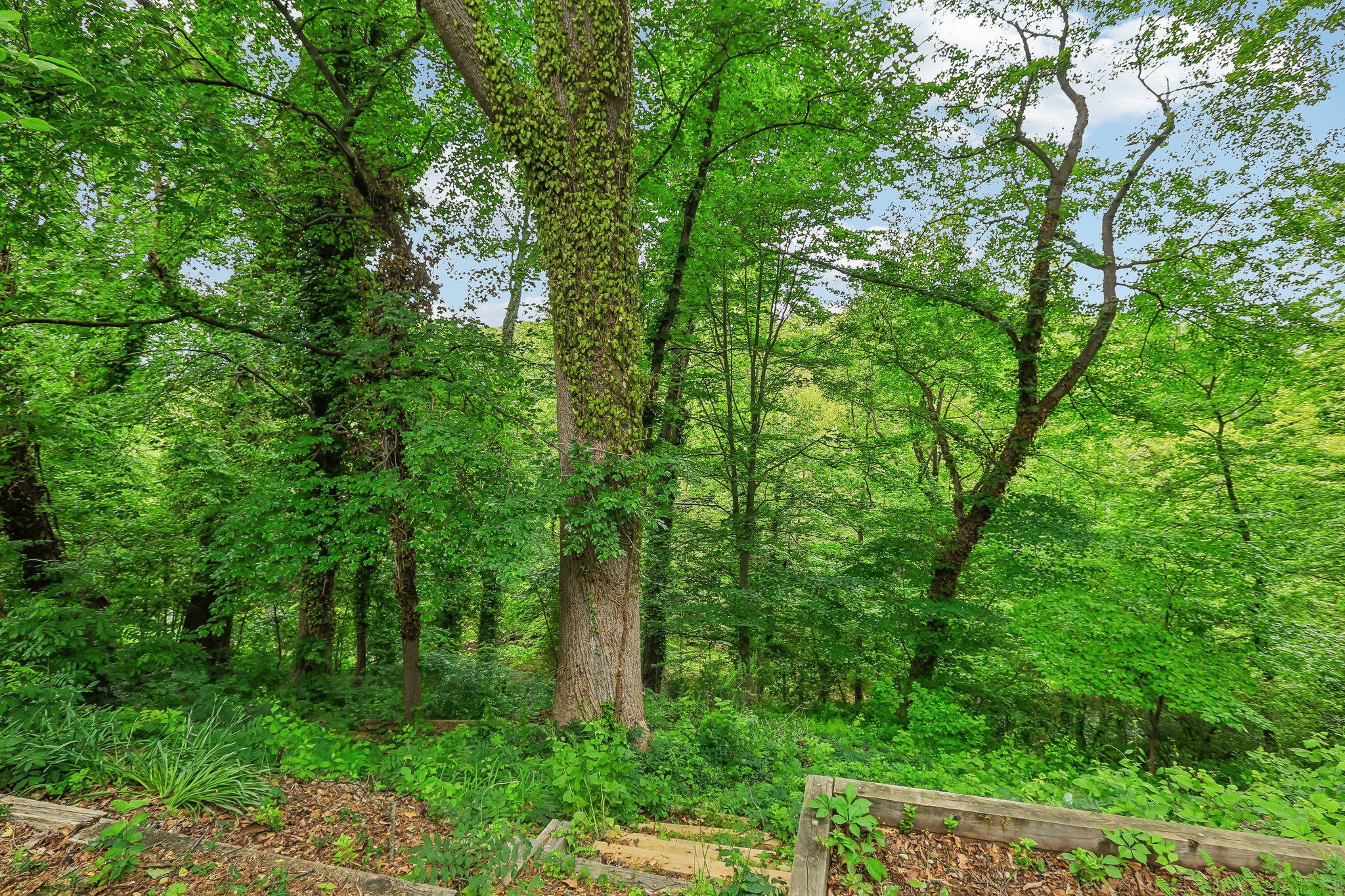 221 Patuxent Road Laurel, MD 20707 - Photo 29 of 33 Lush green woodland retreat awaits.