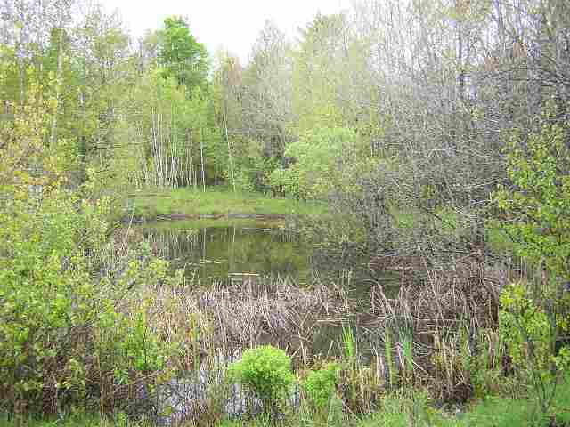 713 County Rt 408 Westerlo, NY 12193 - Photo 7 of 7 Photo 7