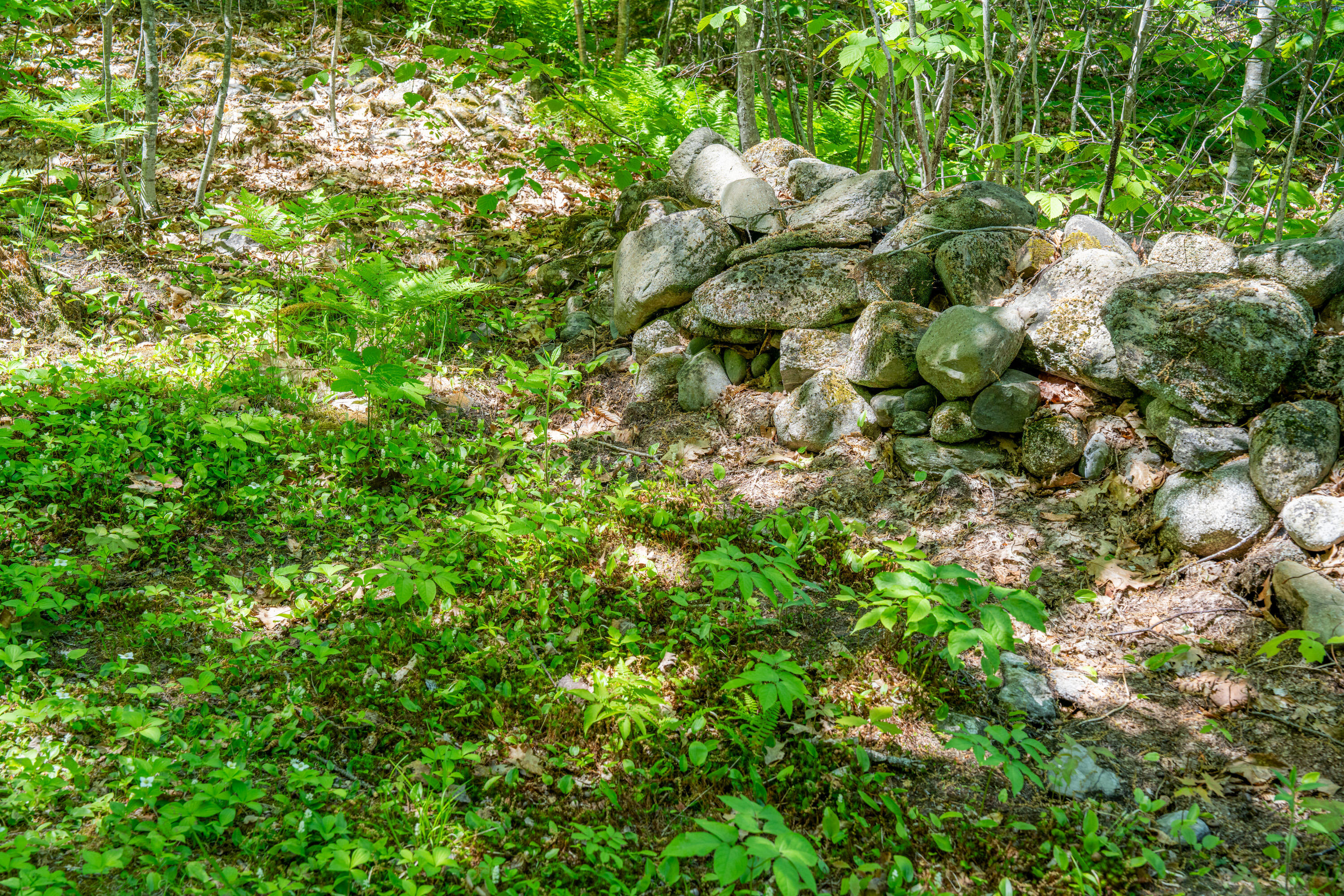 314 Frye Mountain Road Knox, ME 04986 - Photo 25 of 26 2932