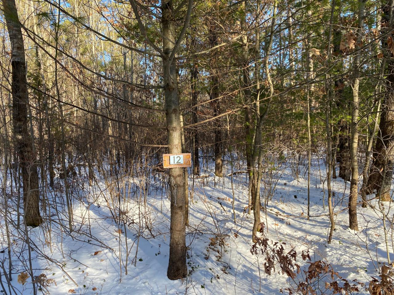Lot 12 Lyannas Road Lake Tomahawk, WI 54539 - Photo 1 of 2 Gallery Image 1