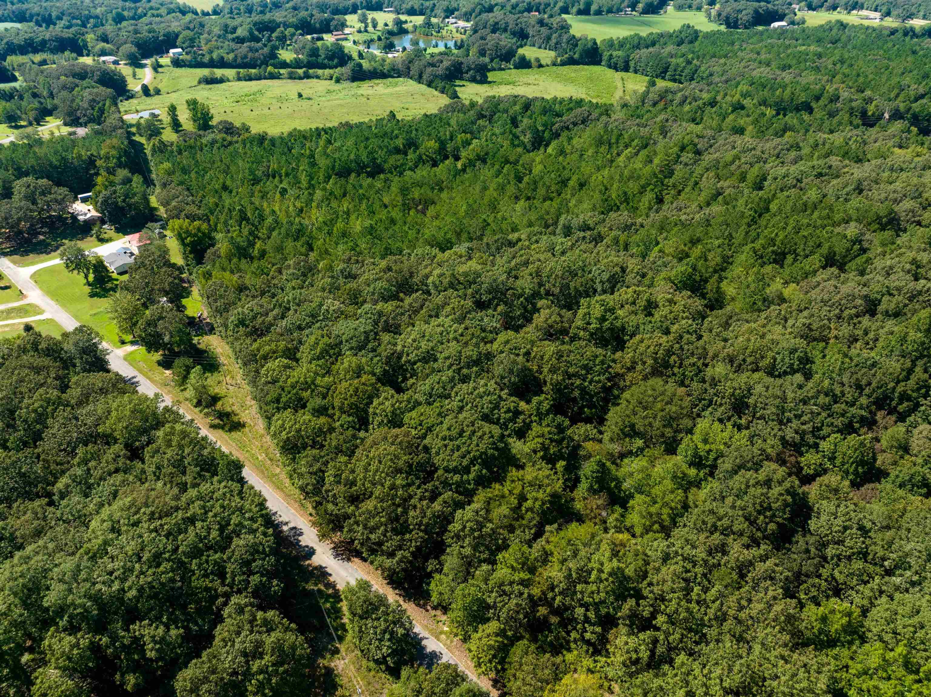 1455 Tyler Road Lexington, TN 38351 - Photo 6 of 8 a view of a lush green forest with lots of trees