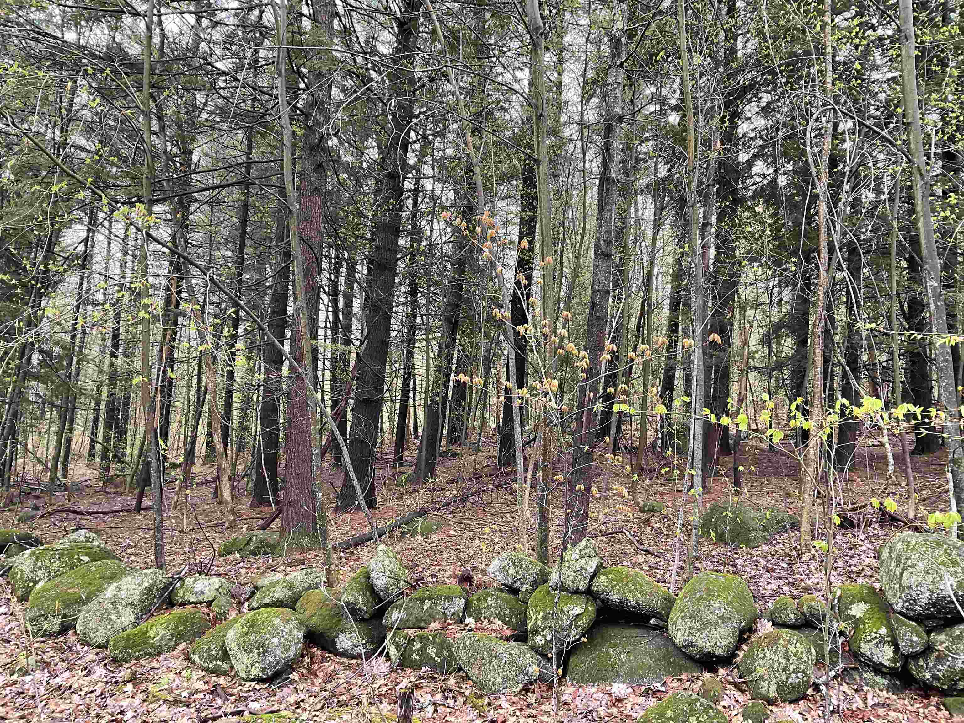 0 Severance Road Hillsborough, NH 03244 - Photo 6 of 21