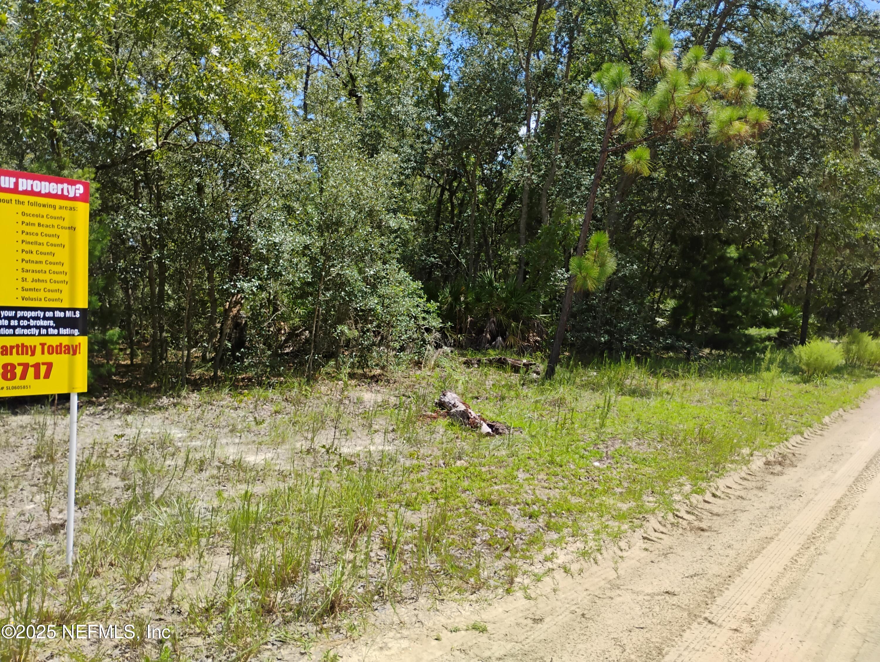 244 Thompson Avenue Interlachen, FL 32148 - Photo 4 of 9 244 Thompson 2a