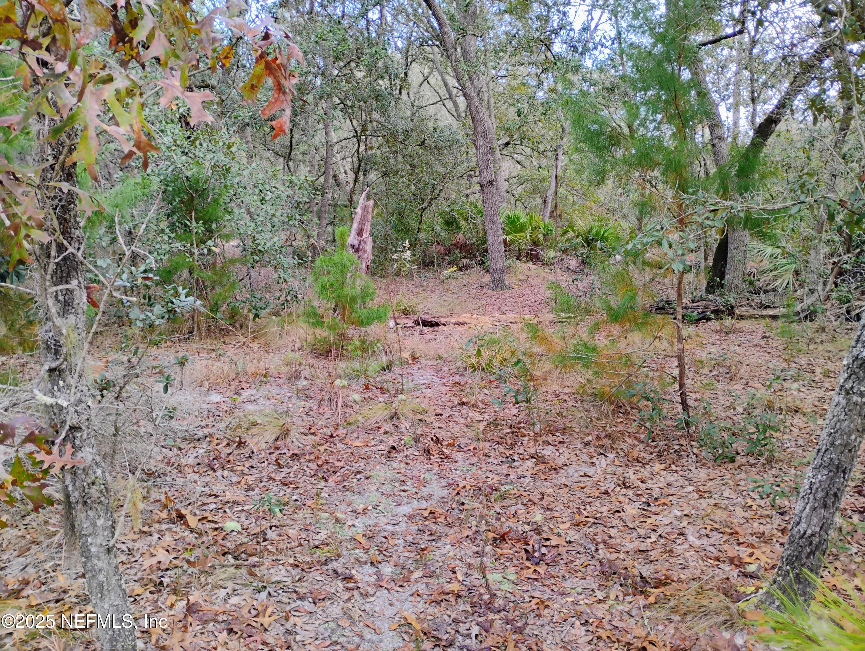 244 Thompson Avenue Interlachen, FL 32148 - Photo 5 of 9 244 Thompson 3