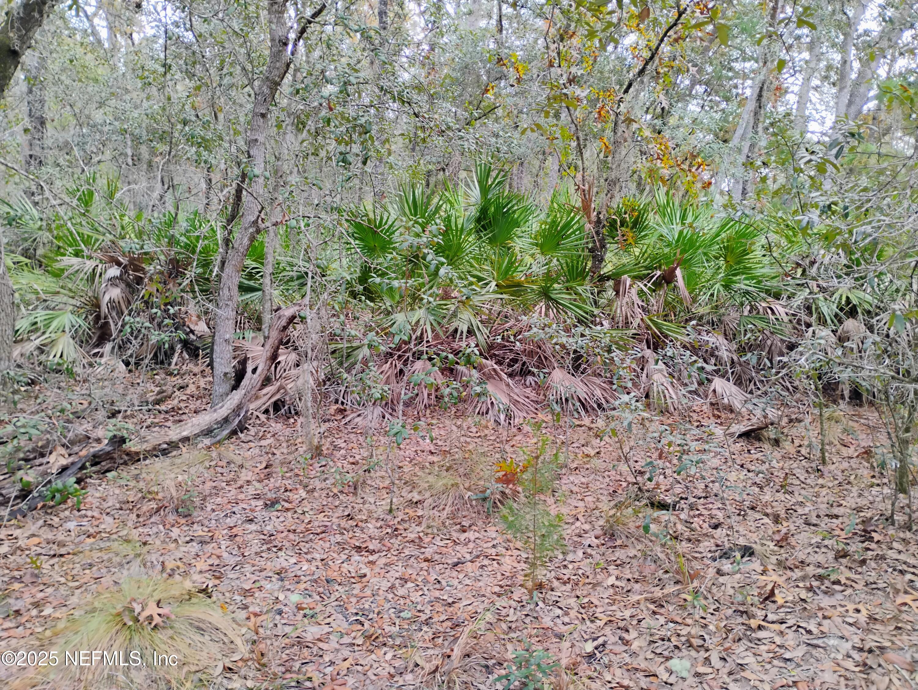 244 Thompson Avenue Interlachen, FL 32148 - Photo 7 of 9 244 Thompson 5