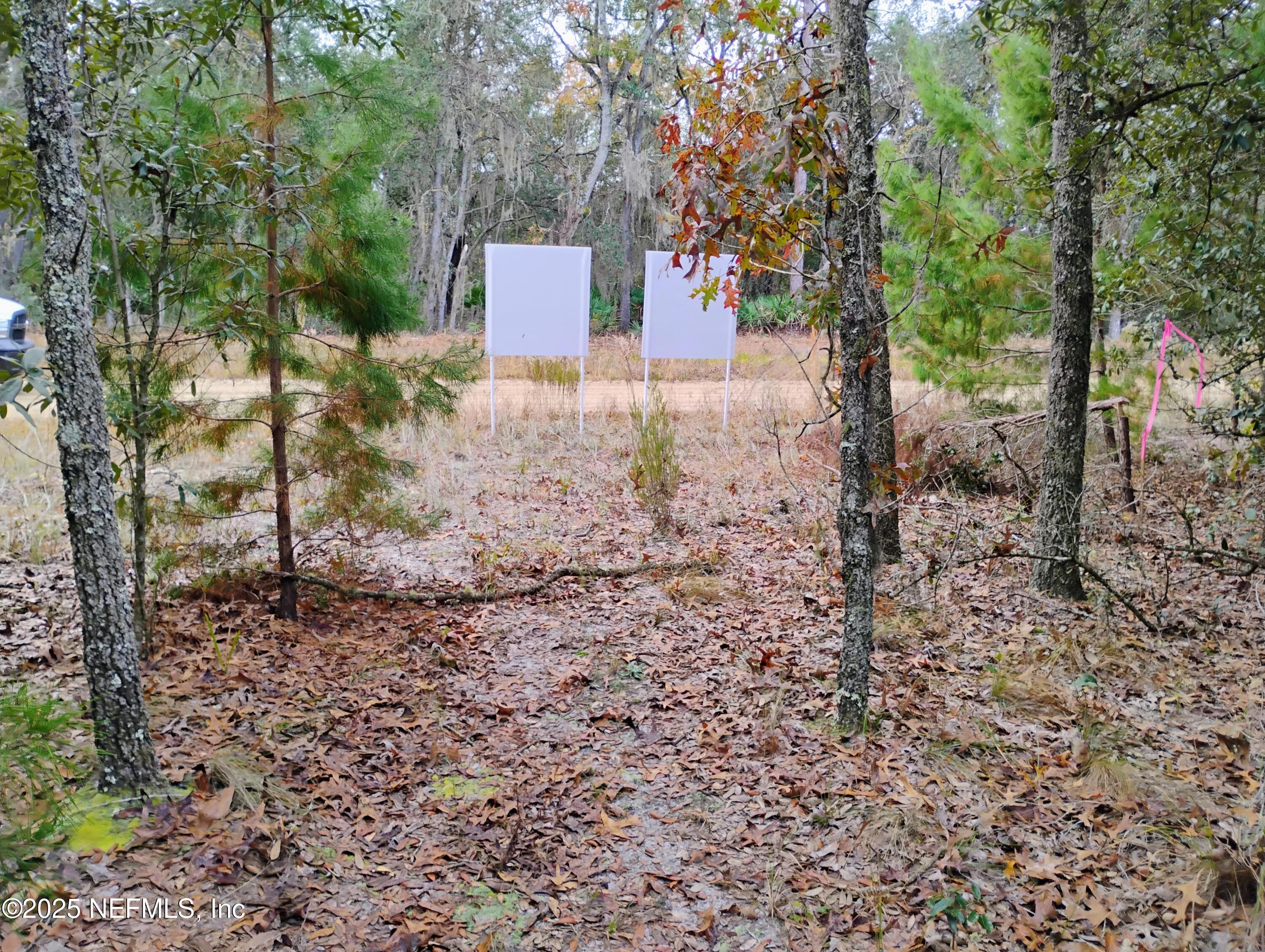 244 Thompson Avenue Interlachen, FL 32148 - Photo 9 of 9 244 Thompson 8