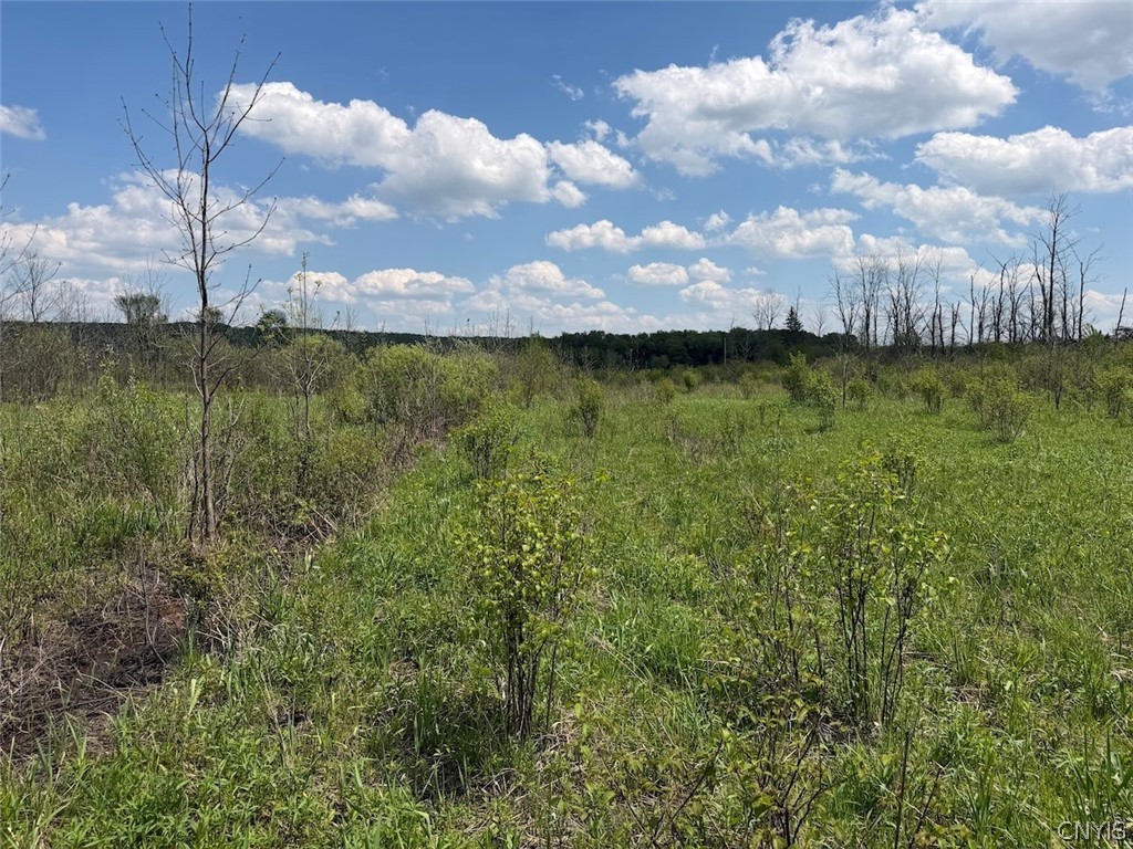 Buttermilk Road South Dayton, NY 14138 - Photo 12 of 26