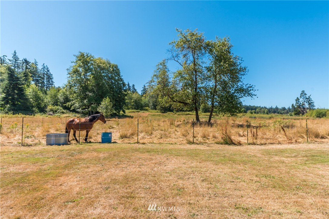 225 West Frostad Road Oak Harbor, WA 98277 - Photo 15 of 24 Gallery Image 15