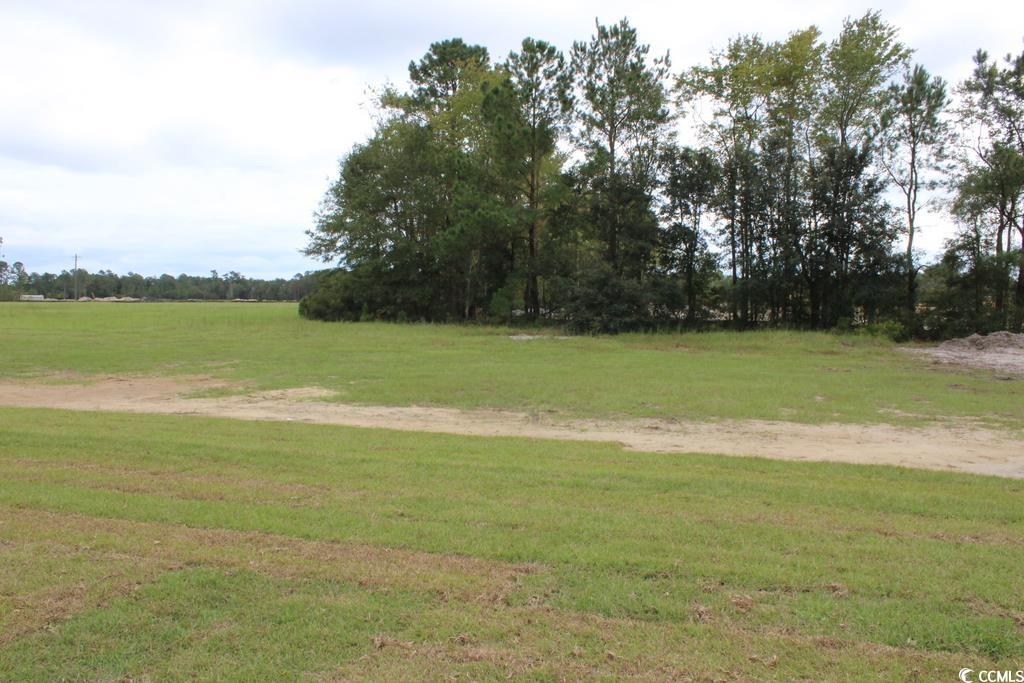 966 Log Cabin Road Loris, SC 29569 - Photo 21 of 40